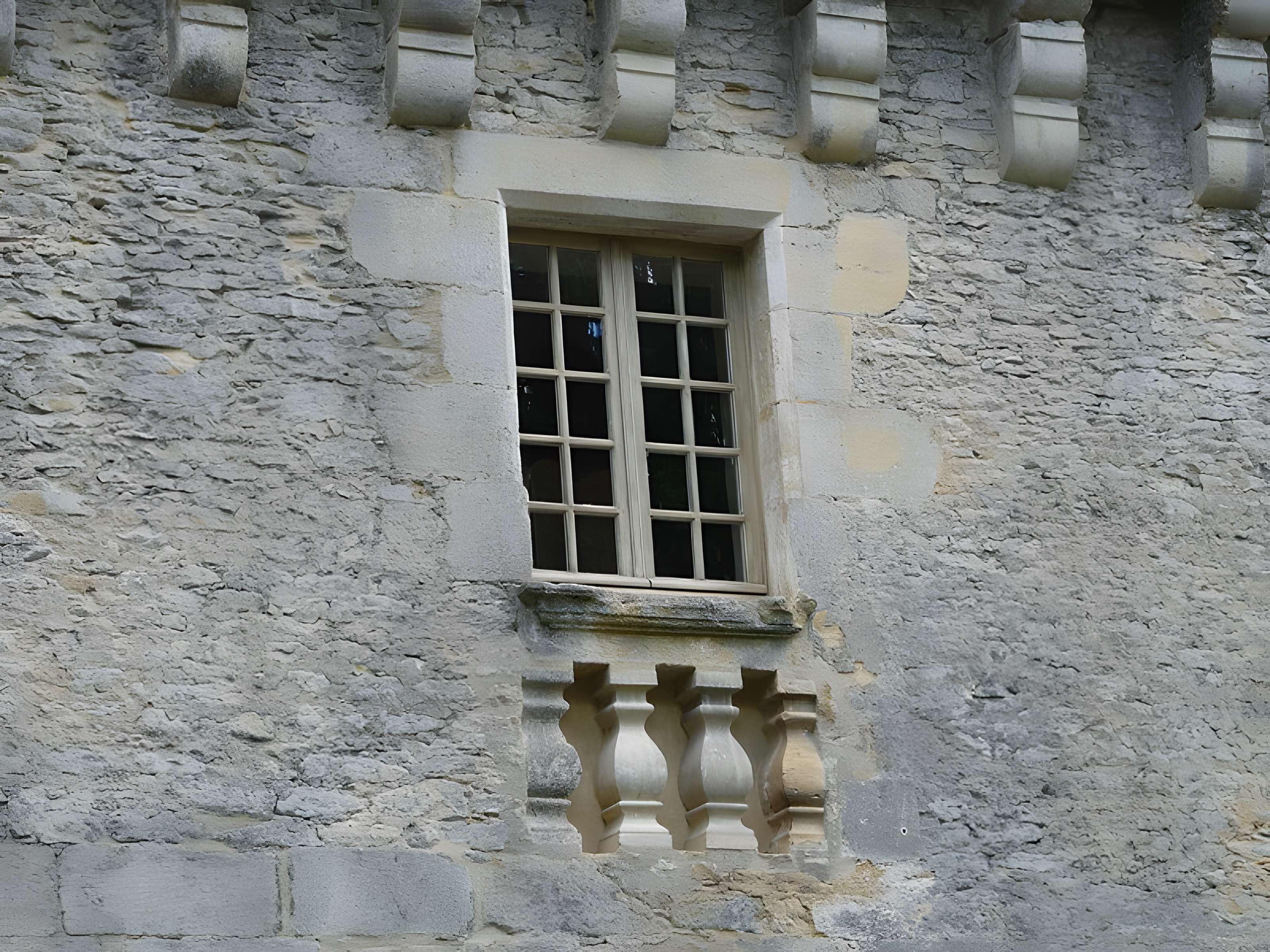 Château de Coulonges