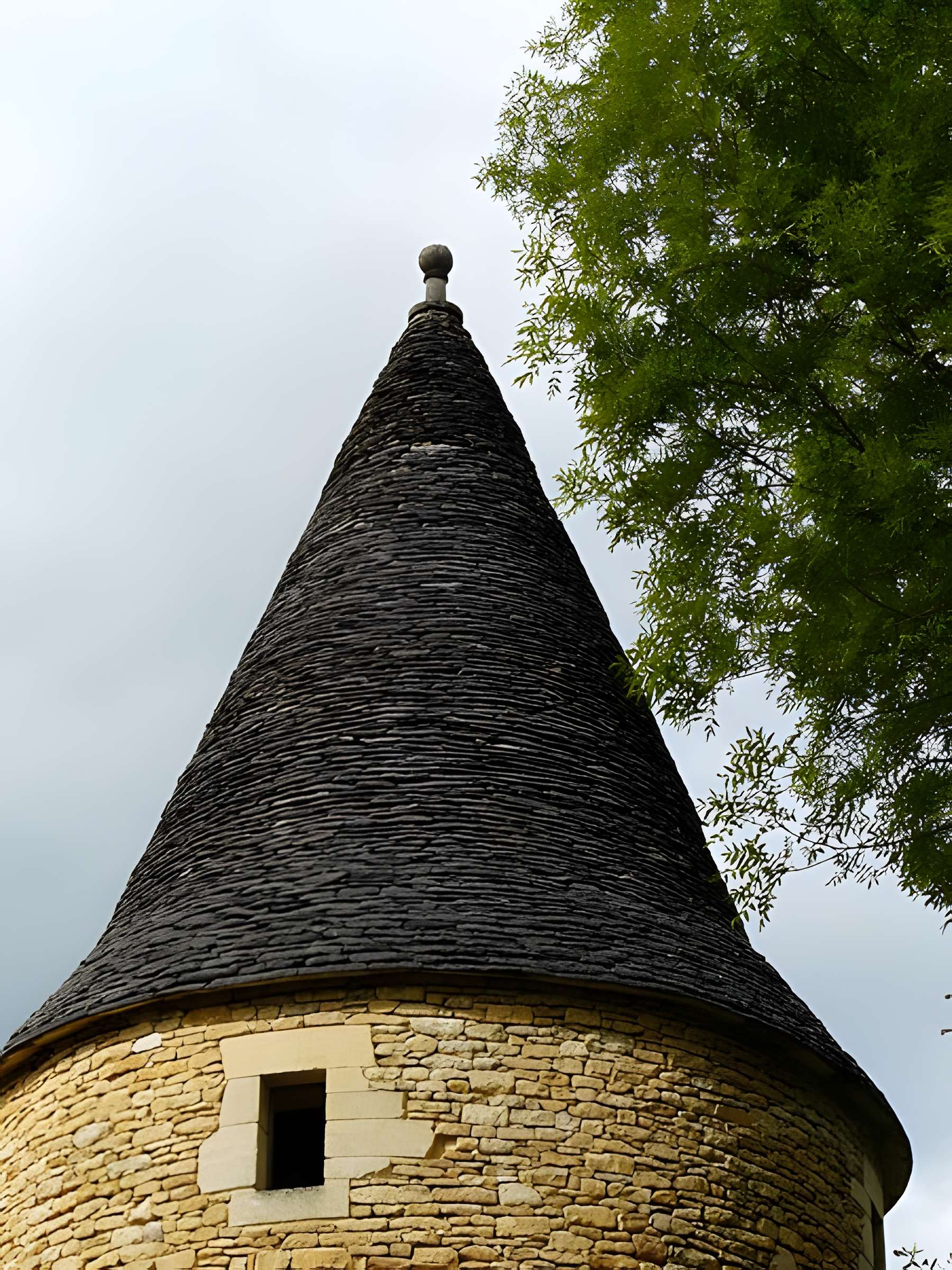 Château de Coulonges