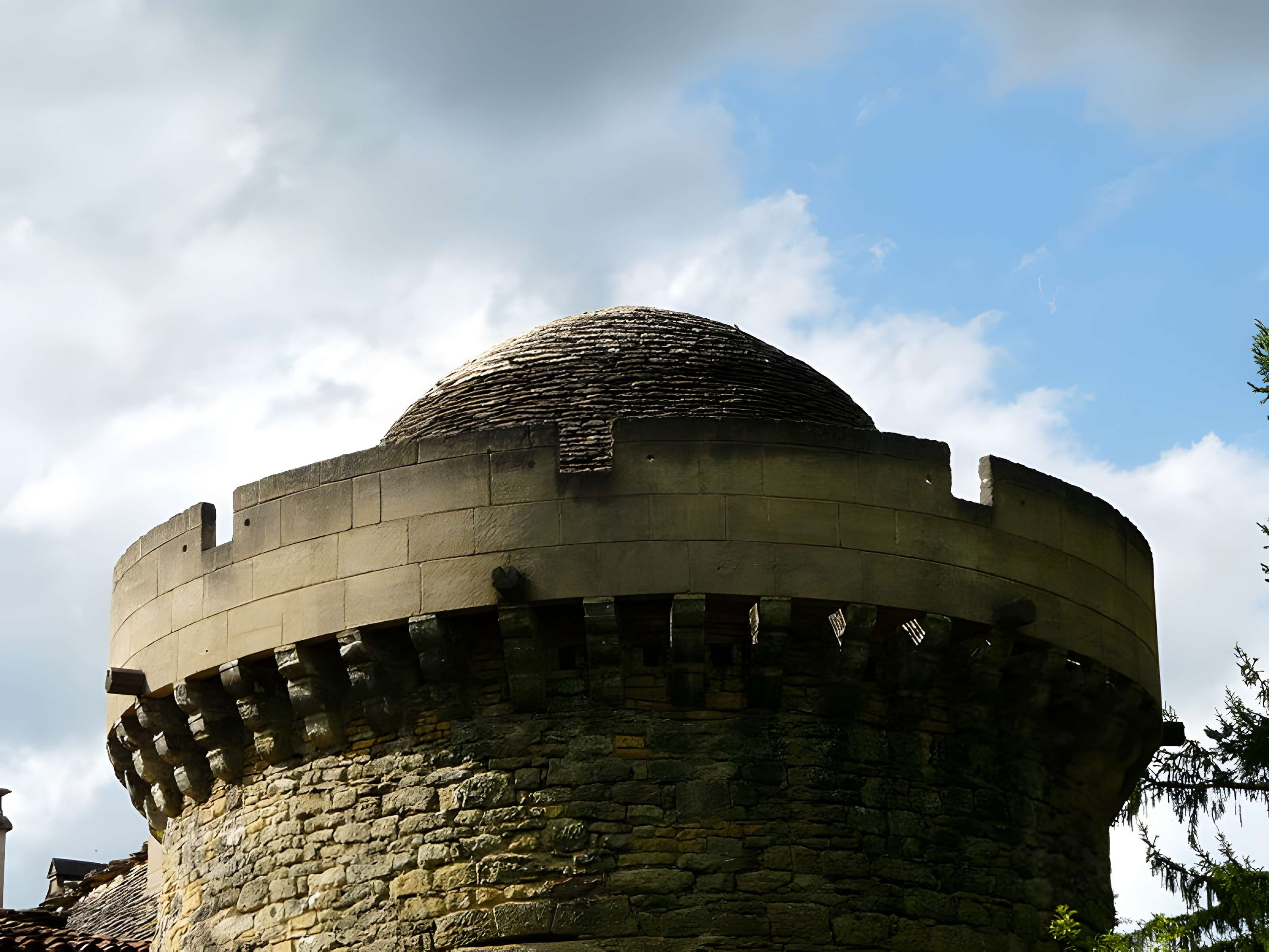 Château de Coulonges