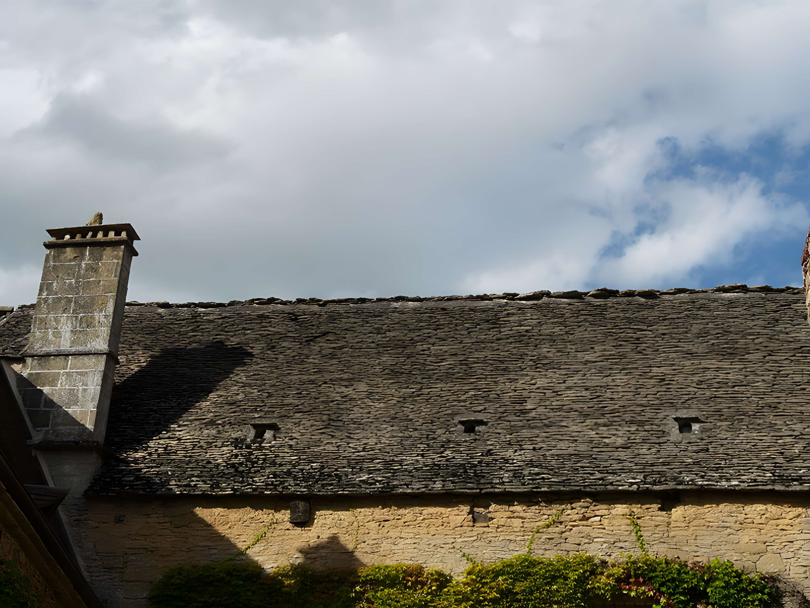 Château de Coulonges