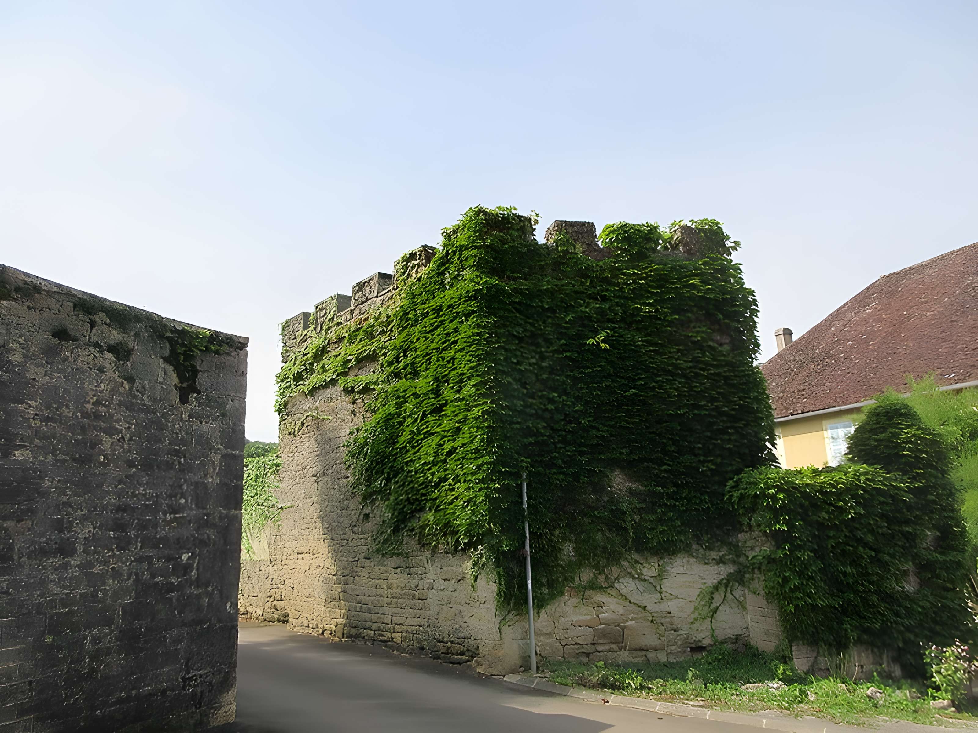 Château de Courbouzon