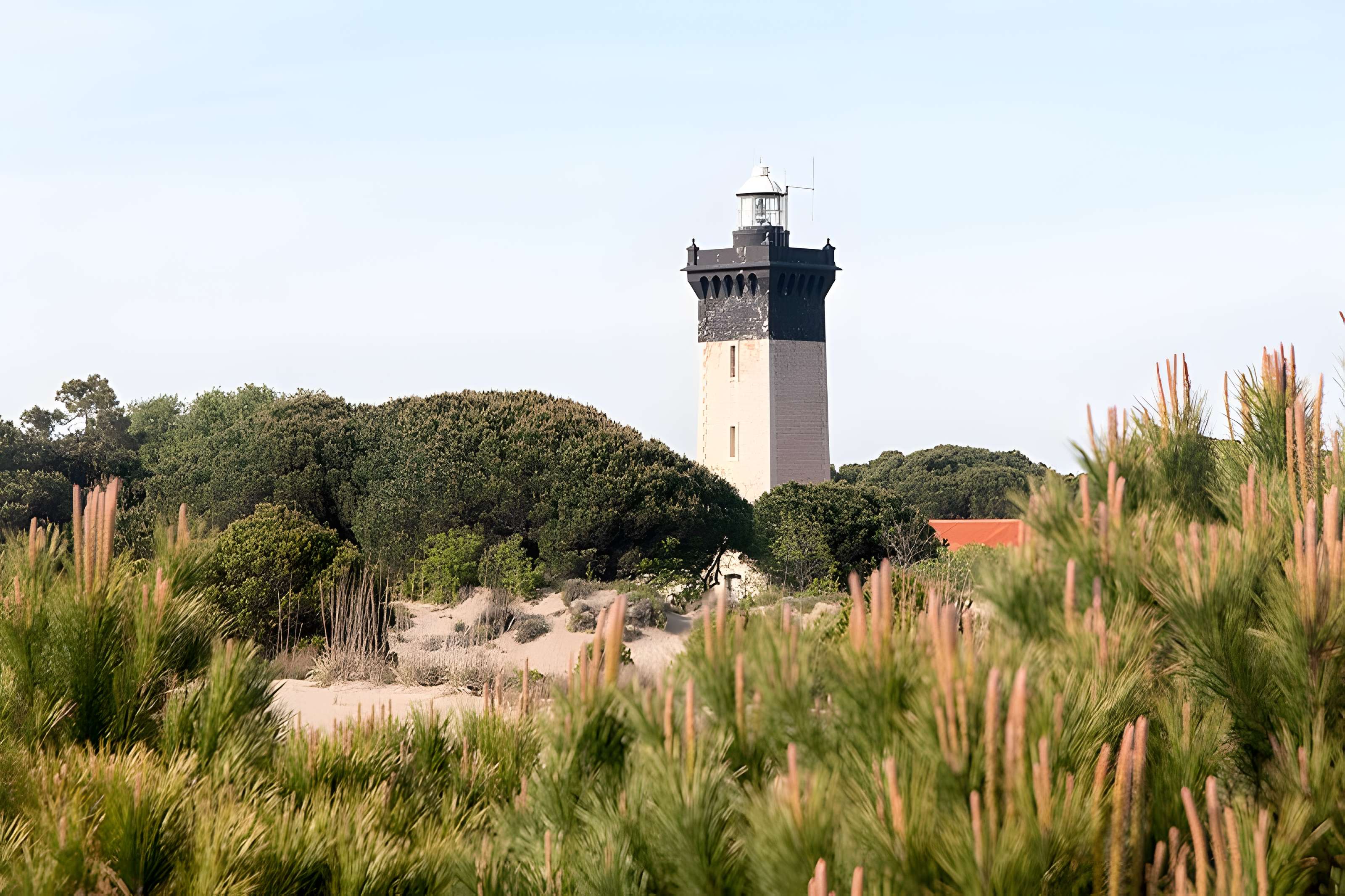 Phare de l'Espiguette