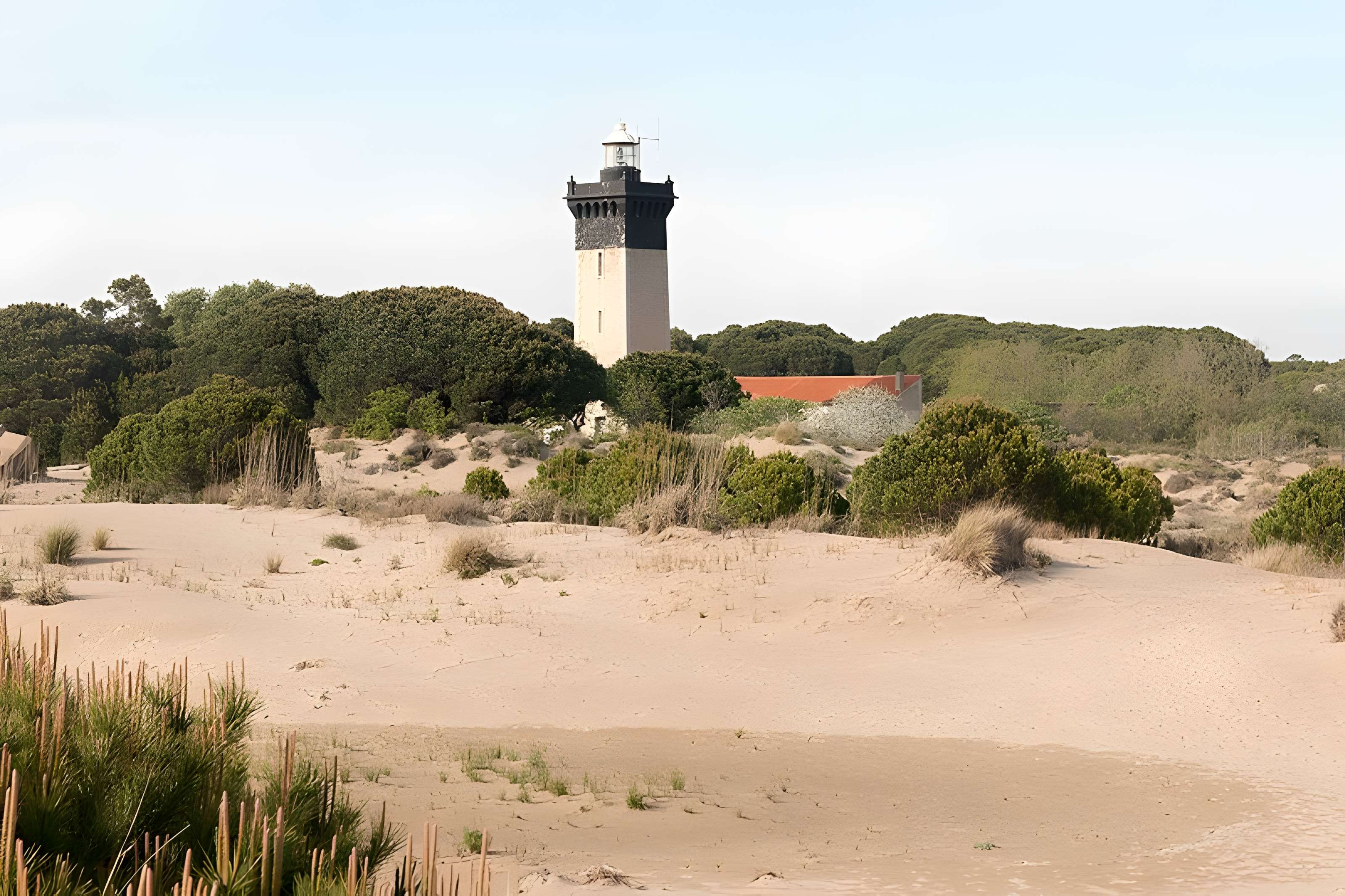 Phare de l'Espiguette