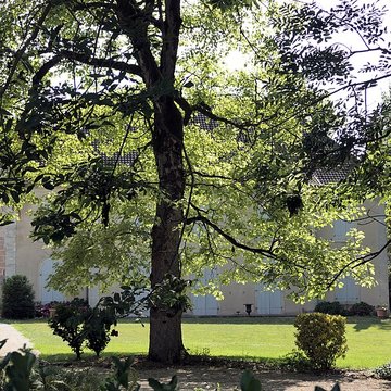 Maison dite Château