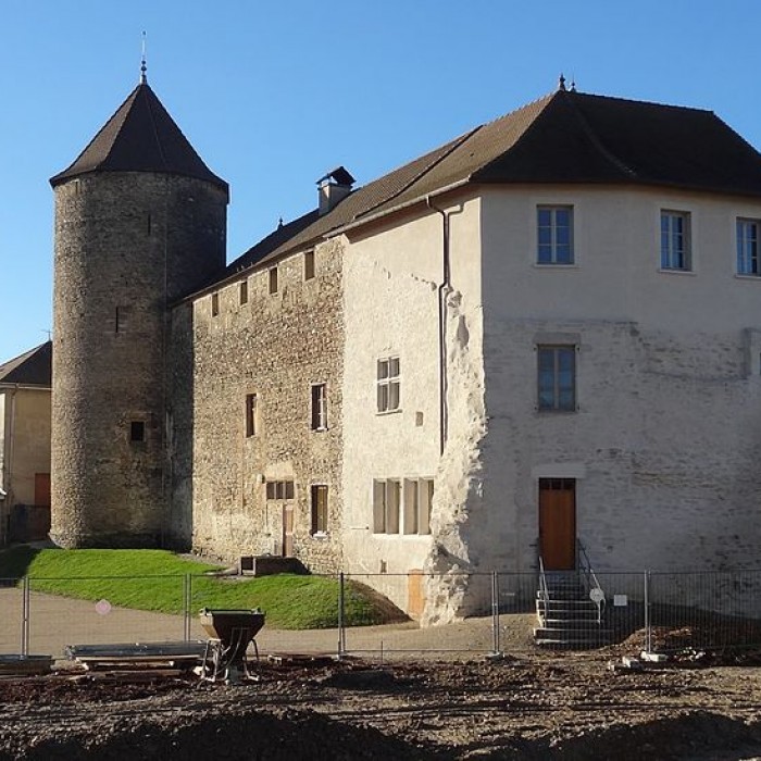 Photo de Château de Demptézieu