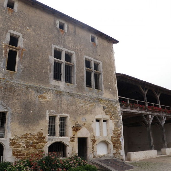 Photo de Château de Dommartin-sur-Vraine