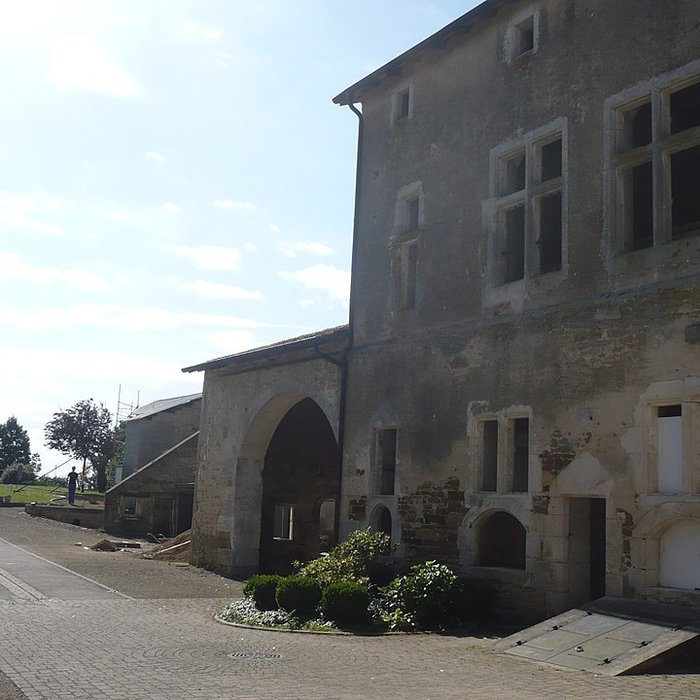 Photo de Château de Dommartin-sur-Vraine