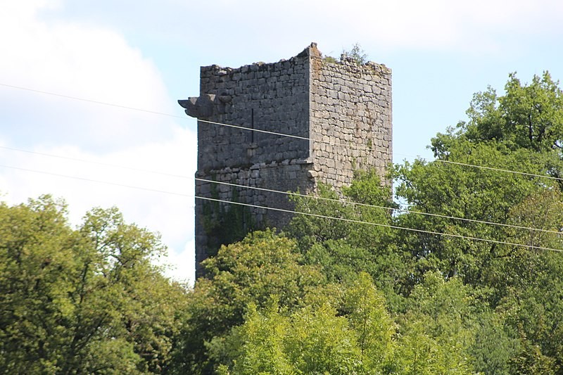 Photo de Château de Dorches