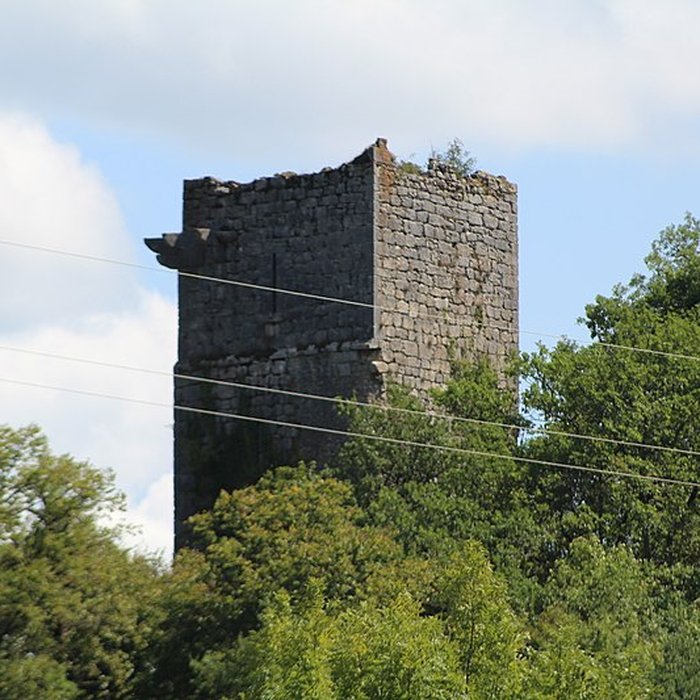 Photo de Château de Dorches