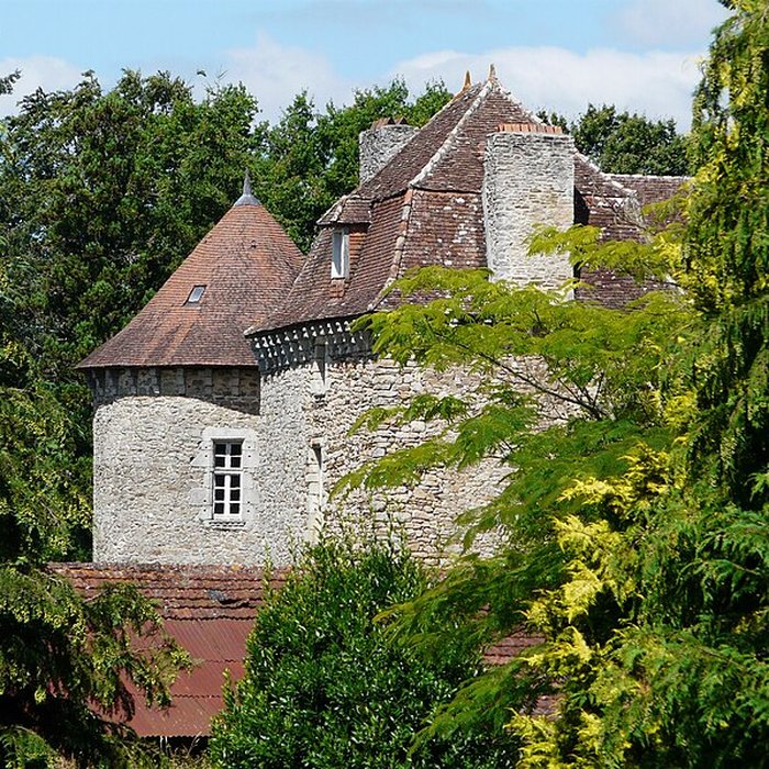 Photo de Château de Douillac
