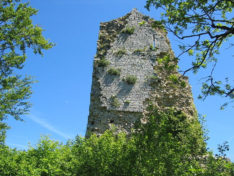Photo de Château de Dramelay