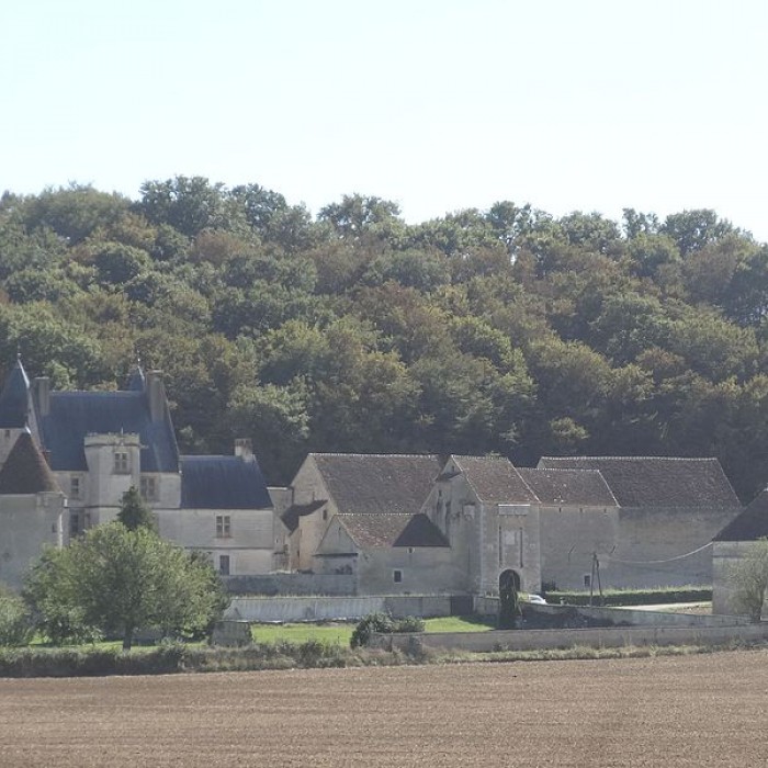 Photo de Château de Faulin