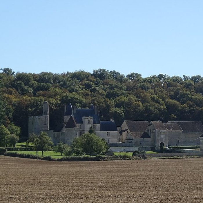 Photo de Château de Faulin