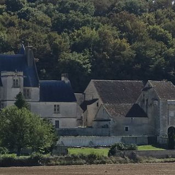 Photo de Château de Faulin