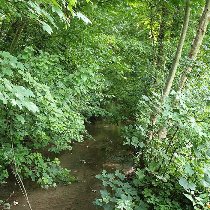 Photo de Château de Fleurigny