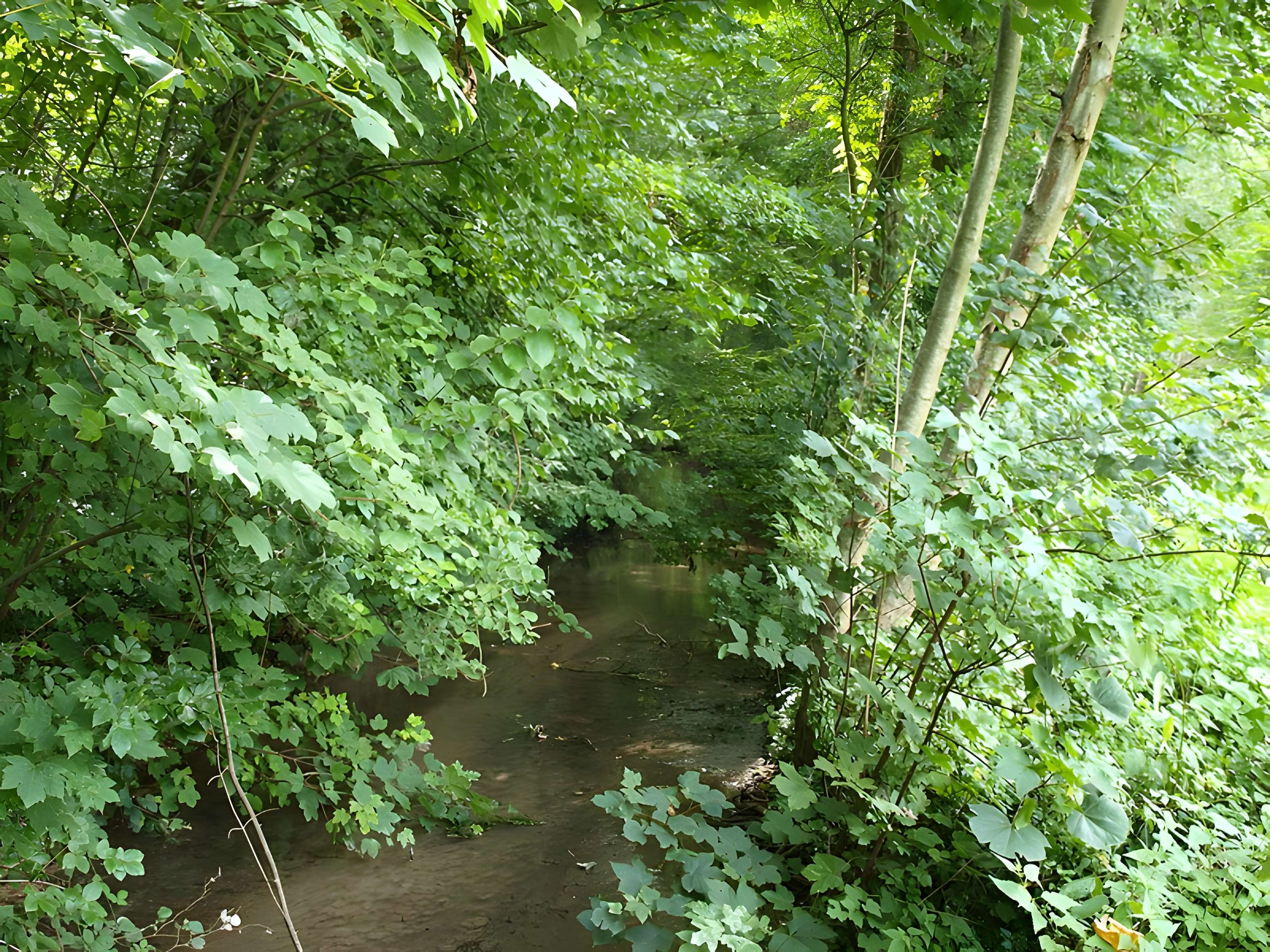 Château de Fleurigny
