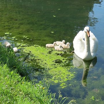 Château de Fontaine-la-Soret