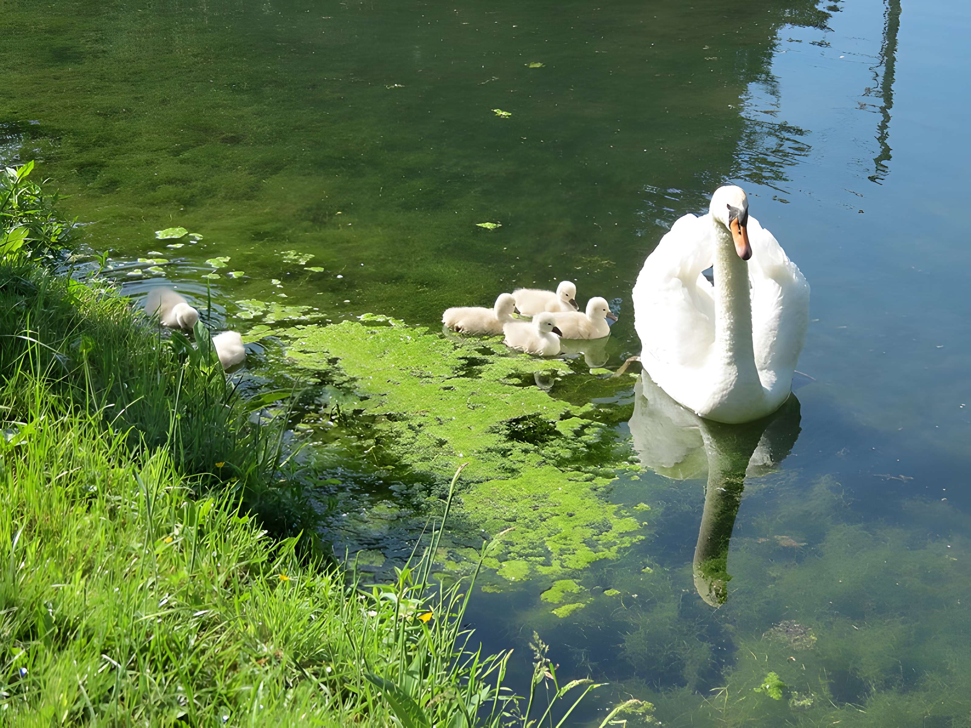 Château de Fontaine-la-Soret