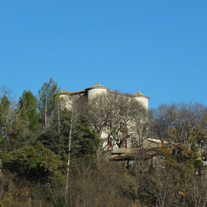 Photo de Château de Fontenelle