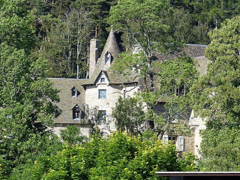 Photo de Château de Fournels