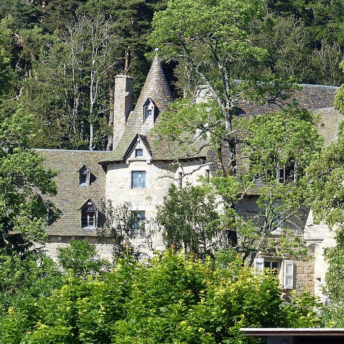 Photo de Château de Fournels
