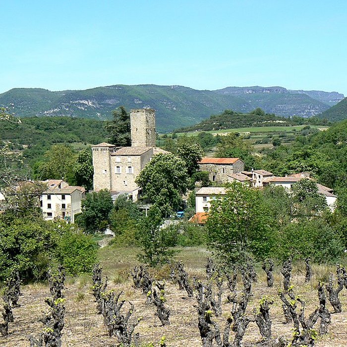Photo de Château de Fozières