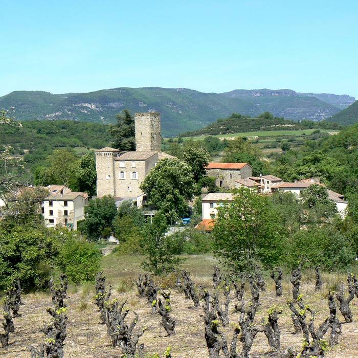 Photo de Château de Fozières