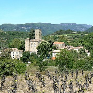 Château de Fozières