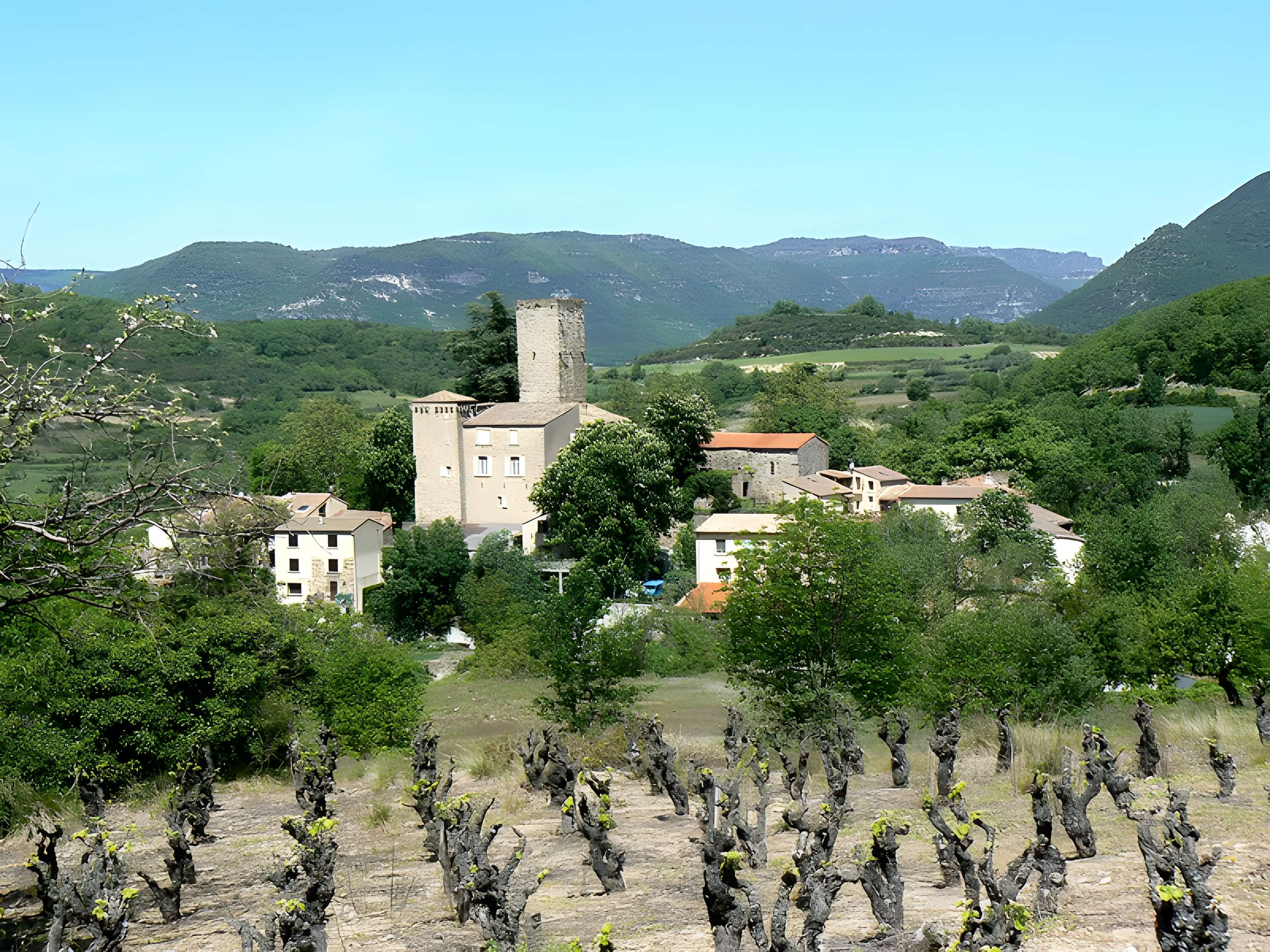 Château de Fozières