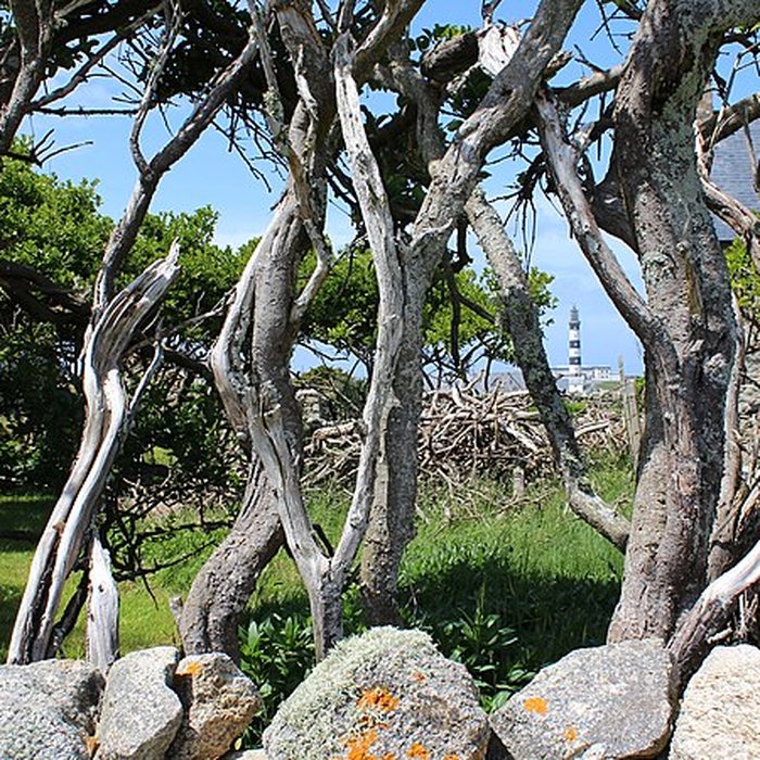 Photo de Phare du Créach
