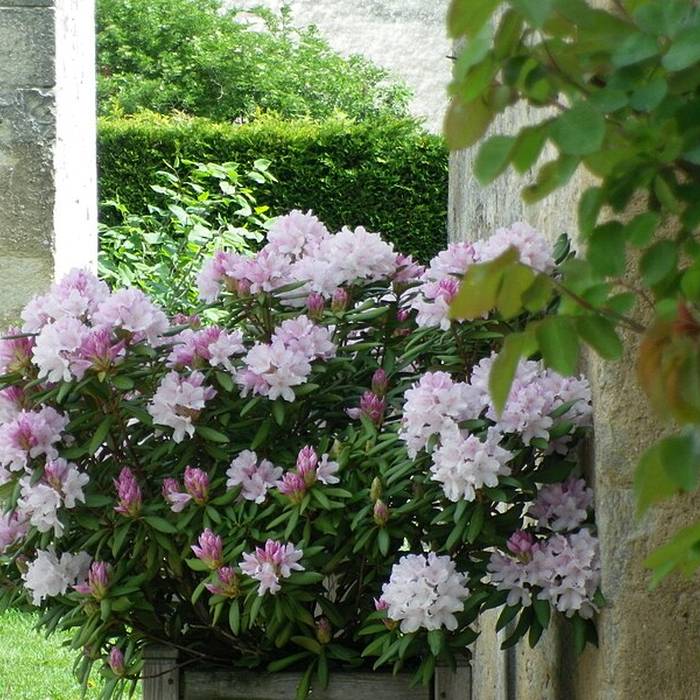 Photo de Château de Frolois