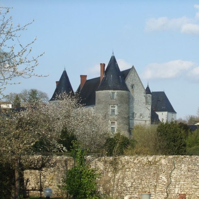 Photo de Château de Genillé