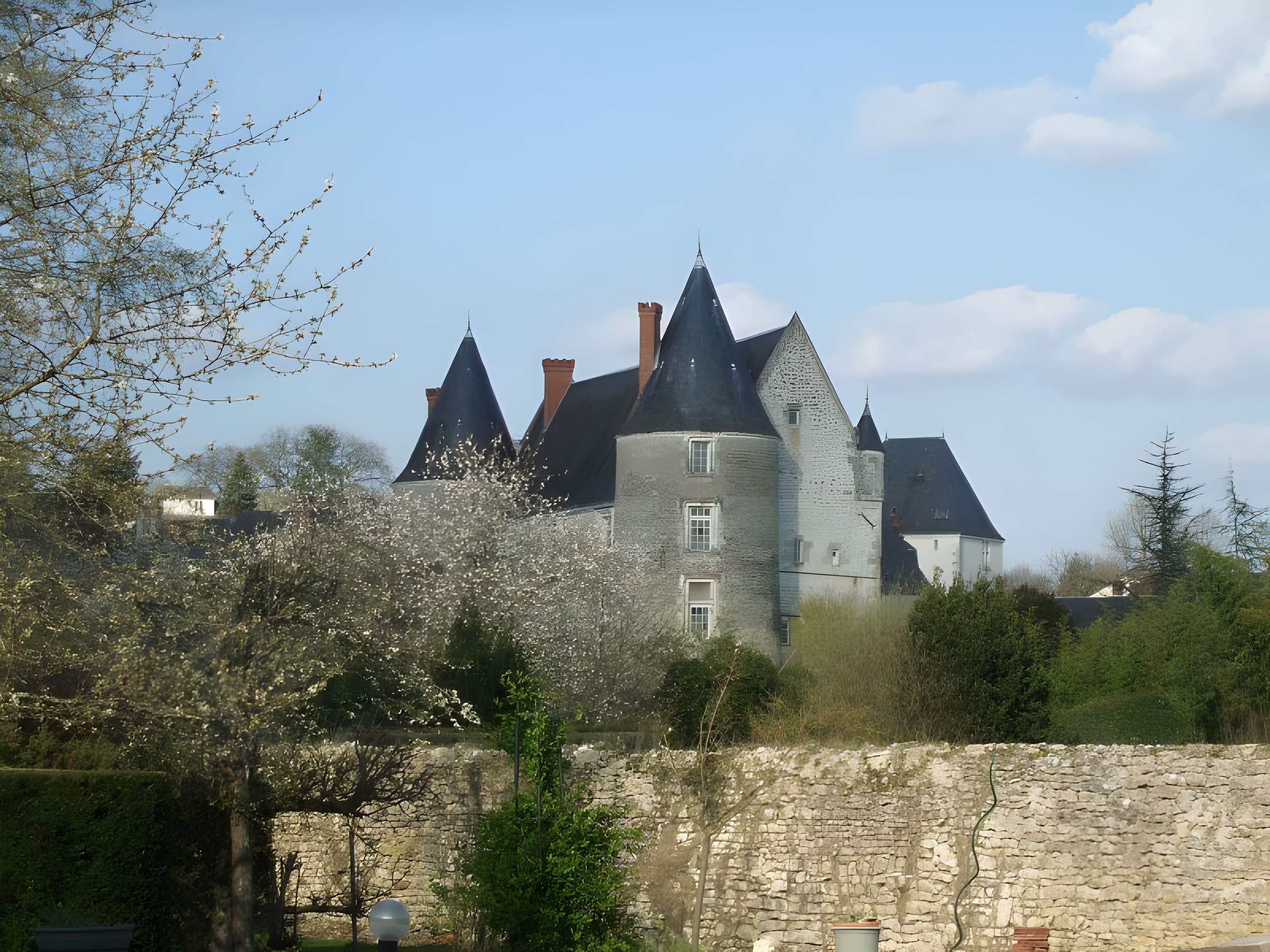 Château de Genillé