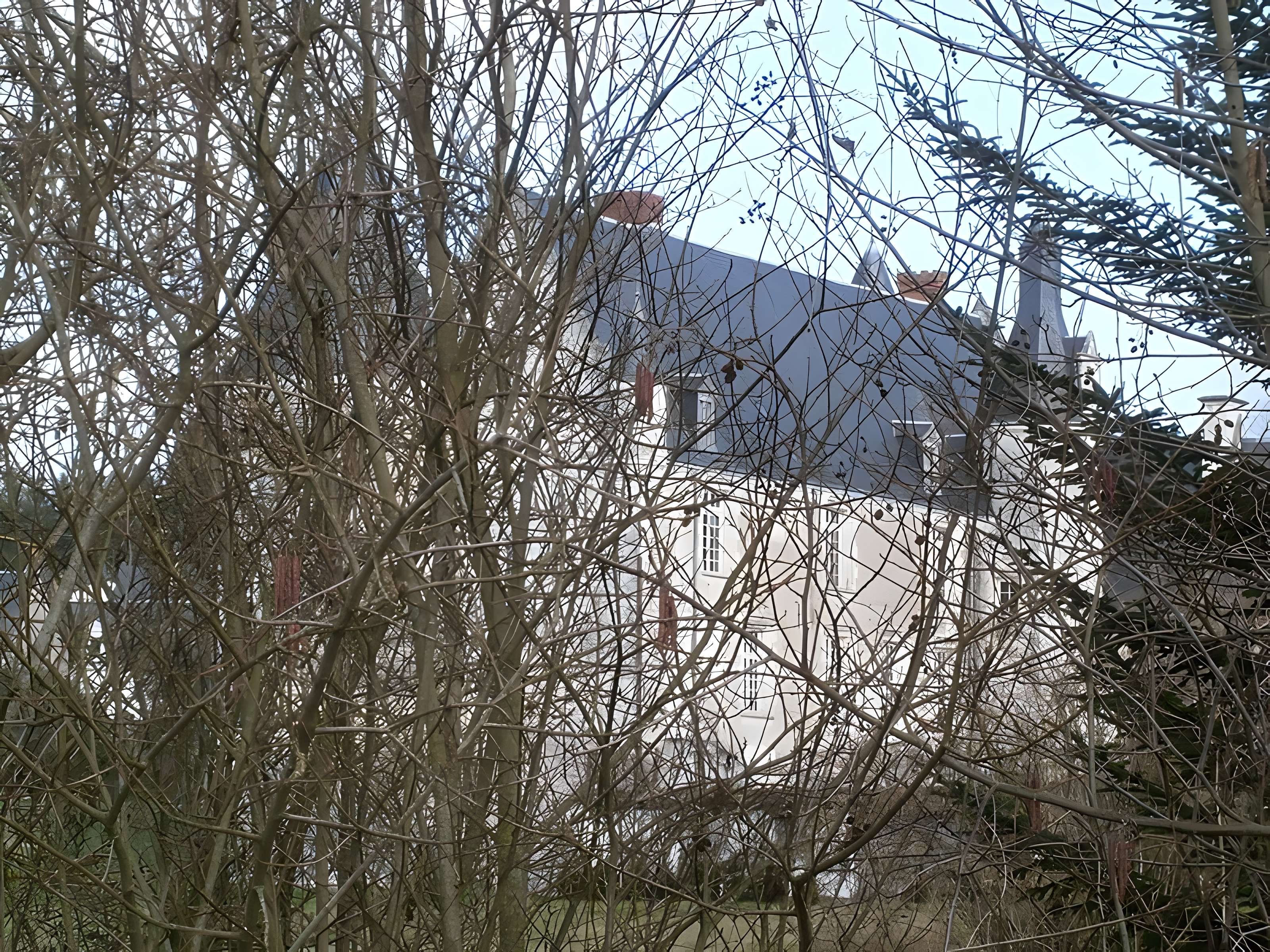 Château de Genillé