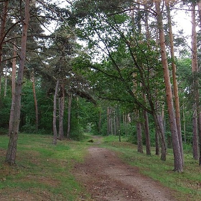 Photo de Château de Goutelas