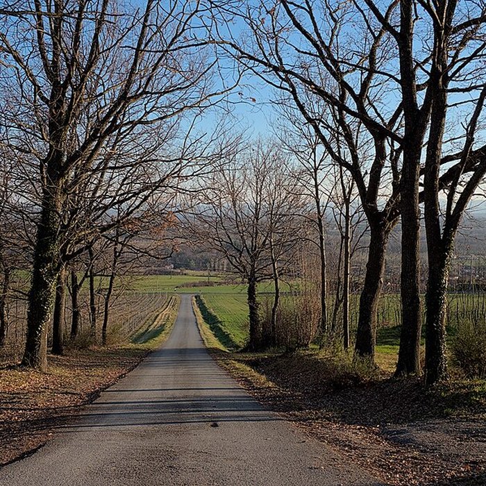 Photo de Château de Goutelas