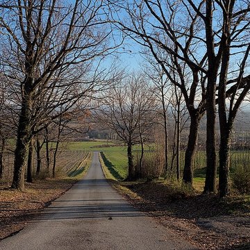 Château de Goutelas
