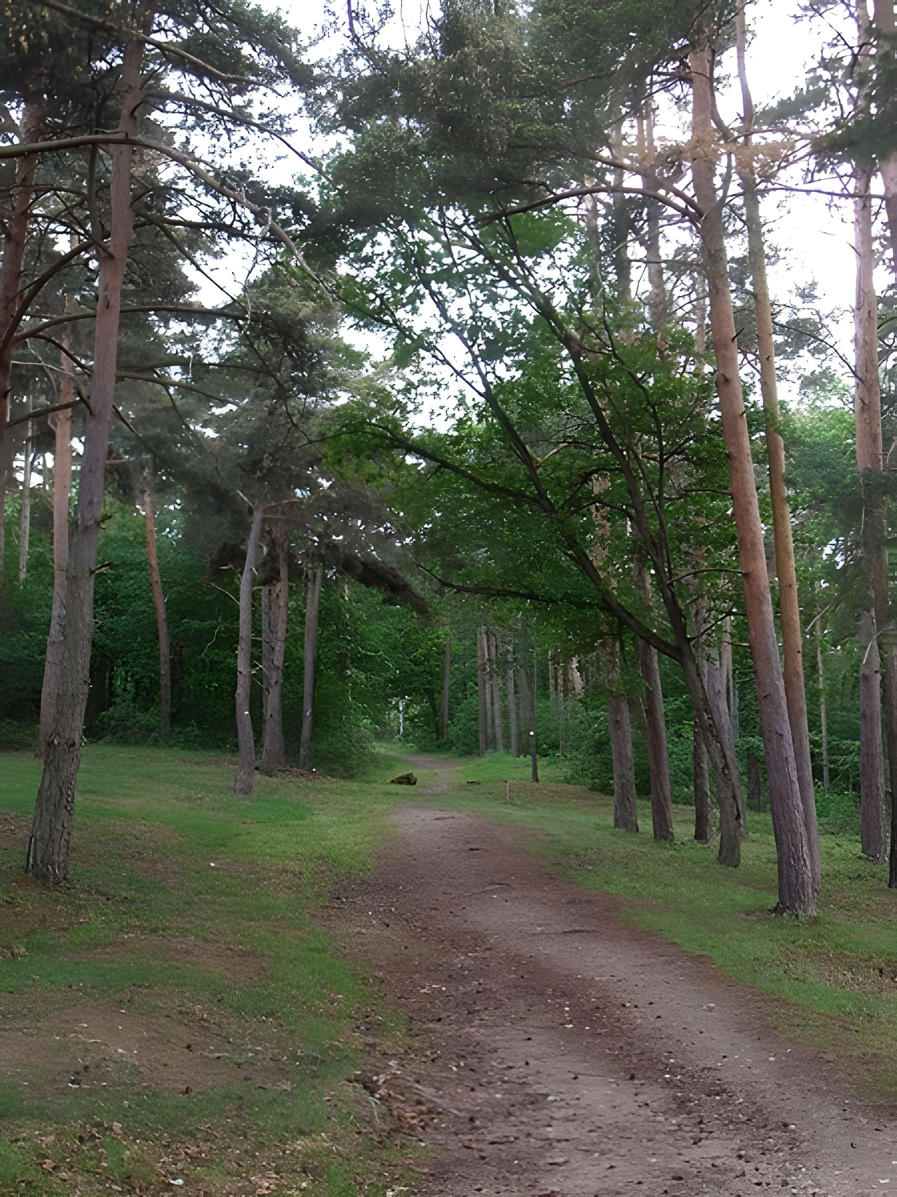 Château de Goutelas