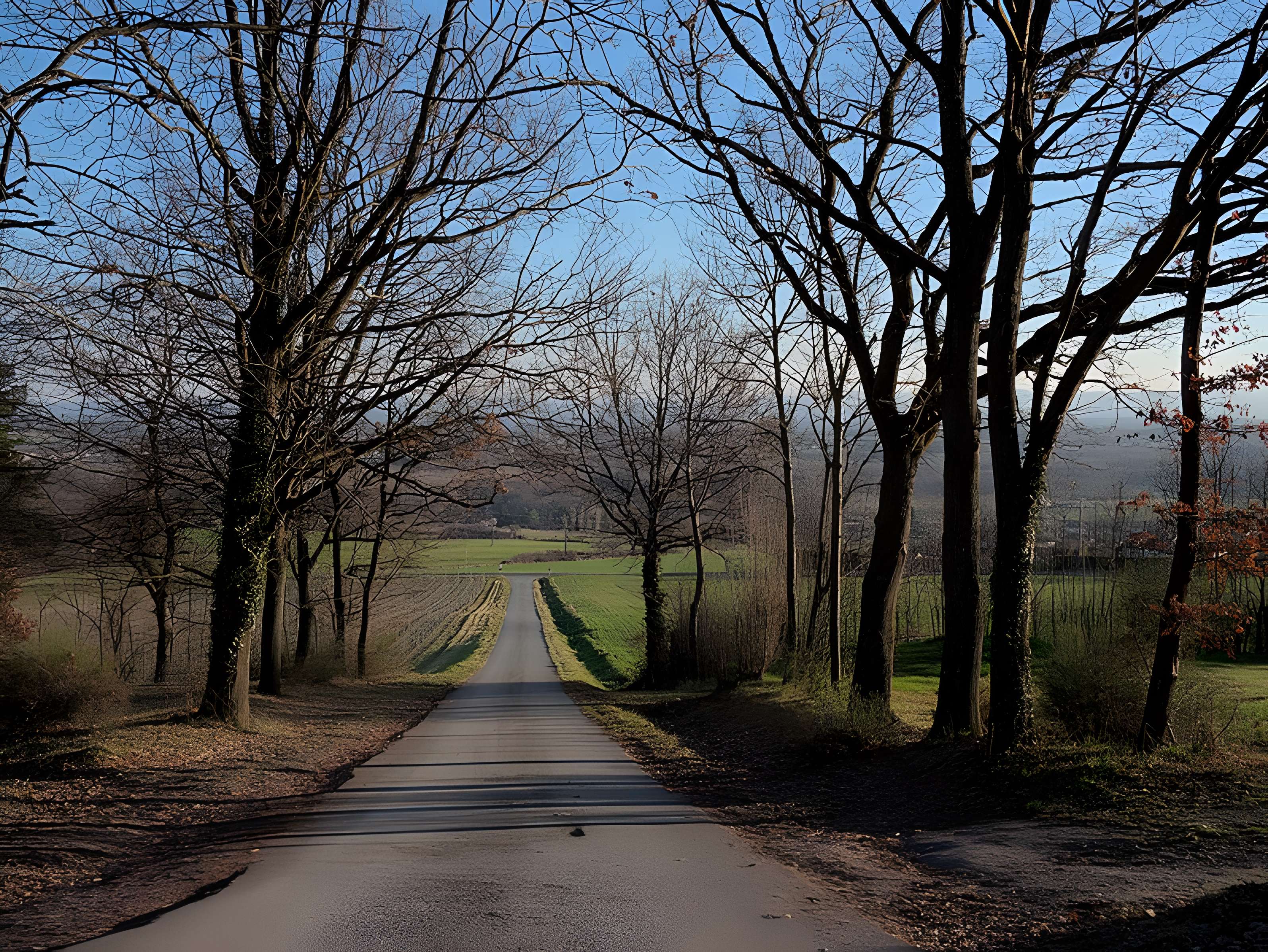 Château de Goutelas