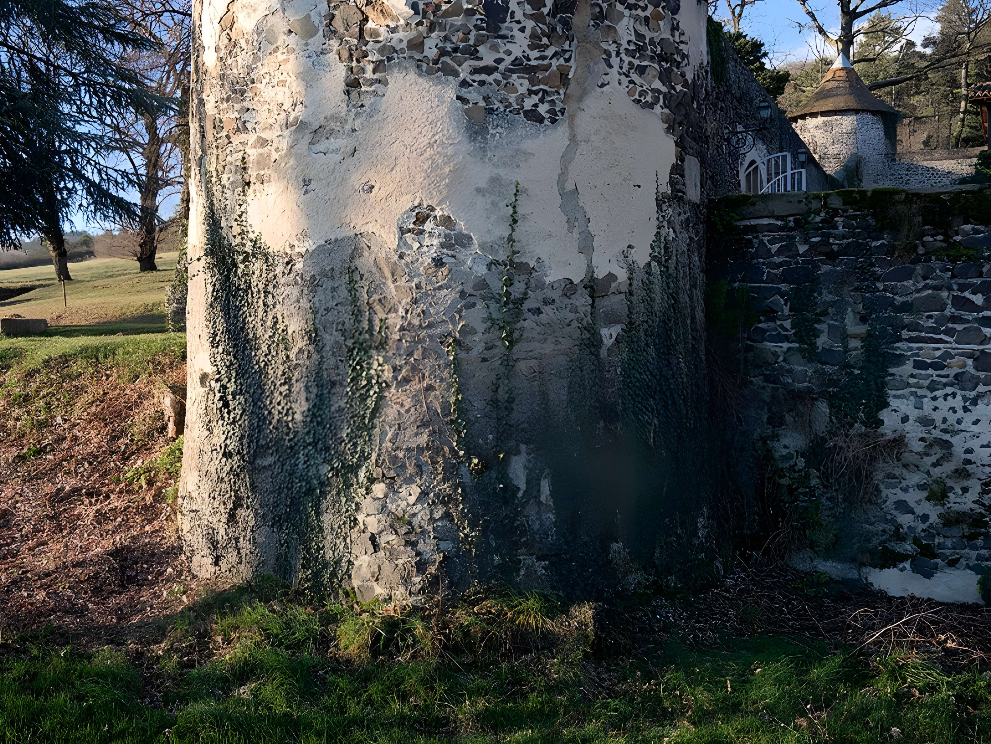 Château de Goutelas