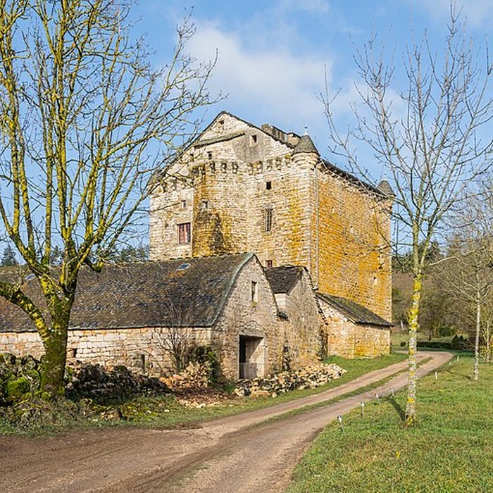 Photo de Château de Grandlac