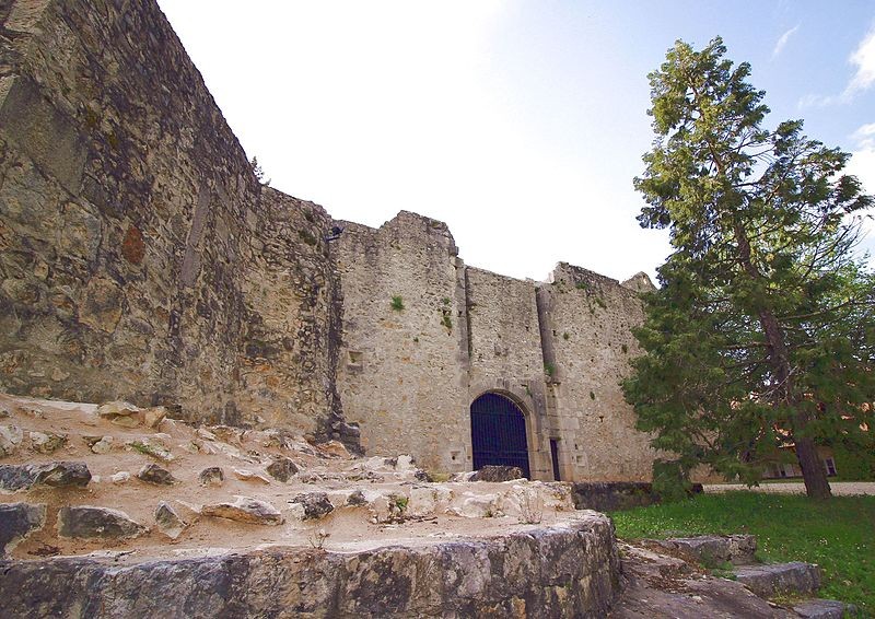 Photo de Château de Groslée