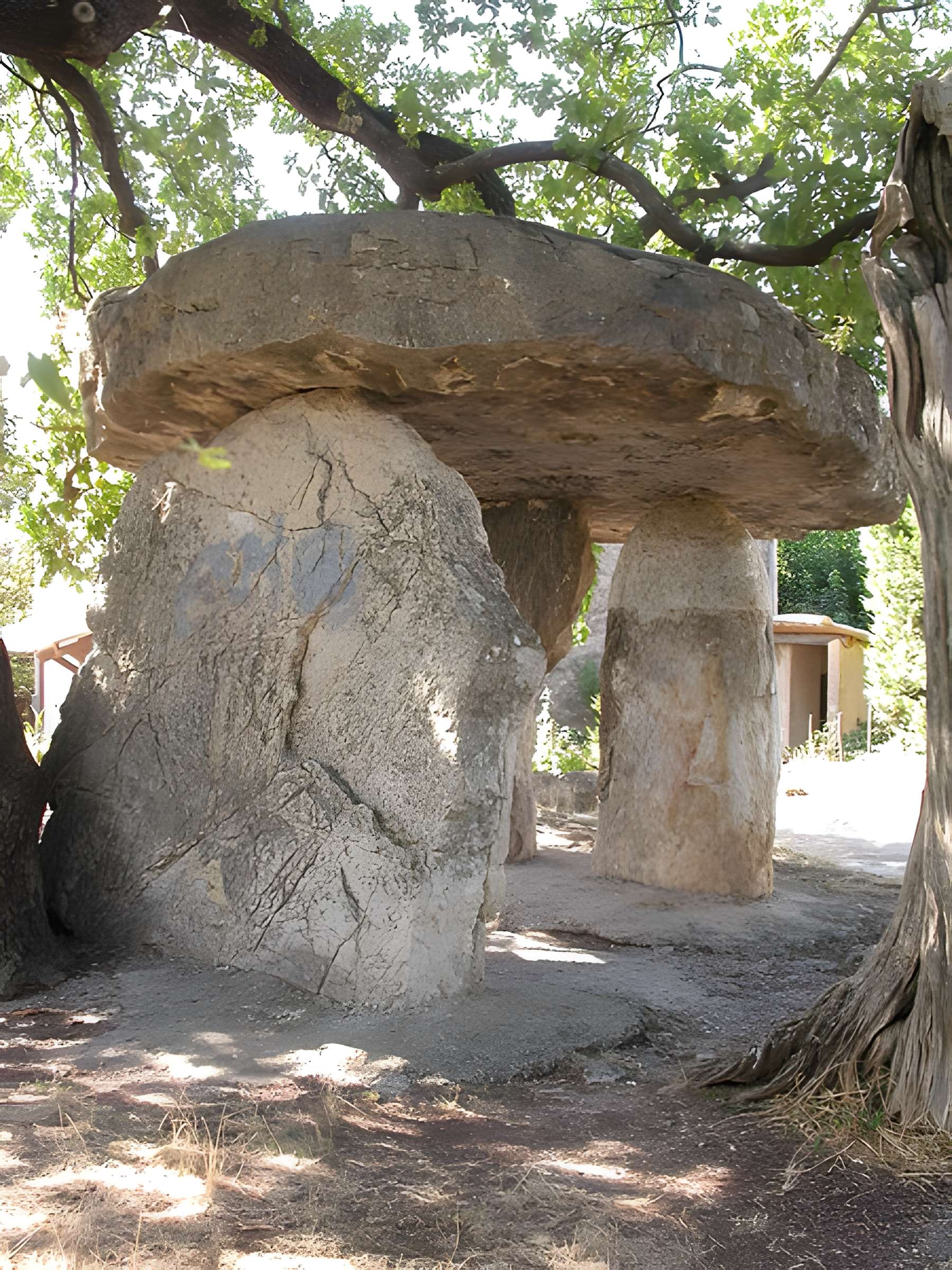 Pierre de la Fée de Draguignan