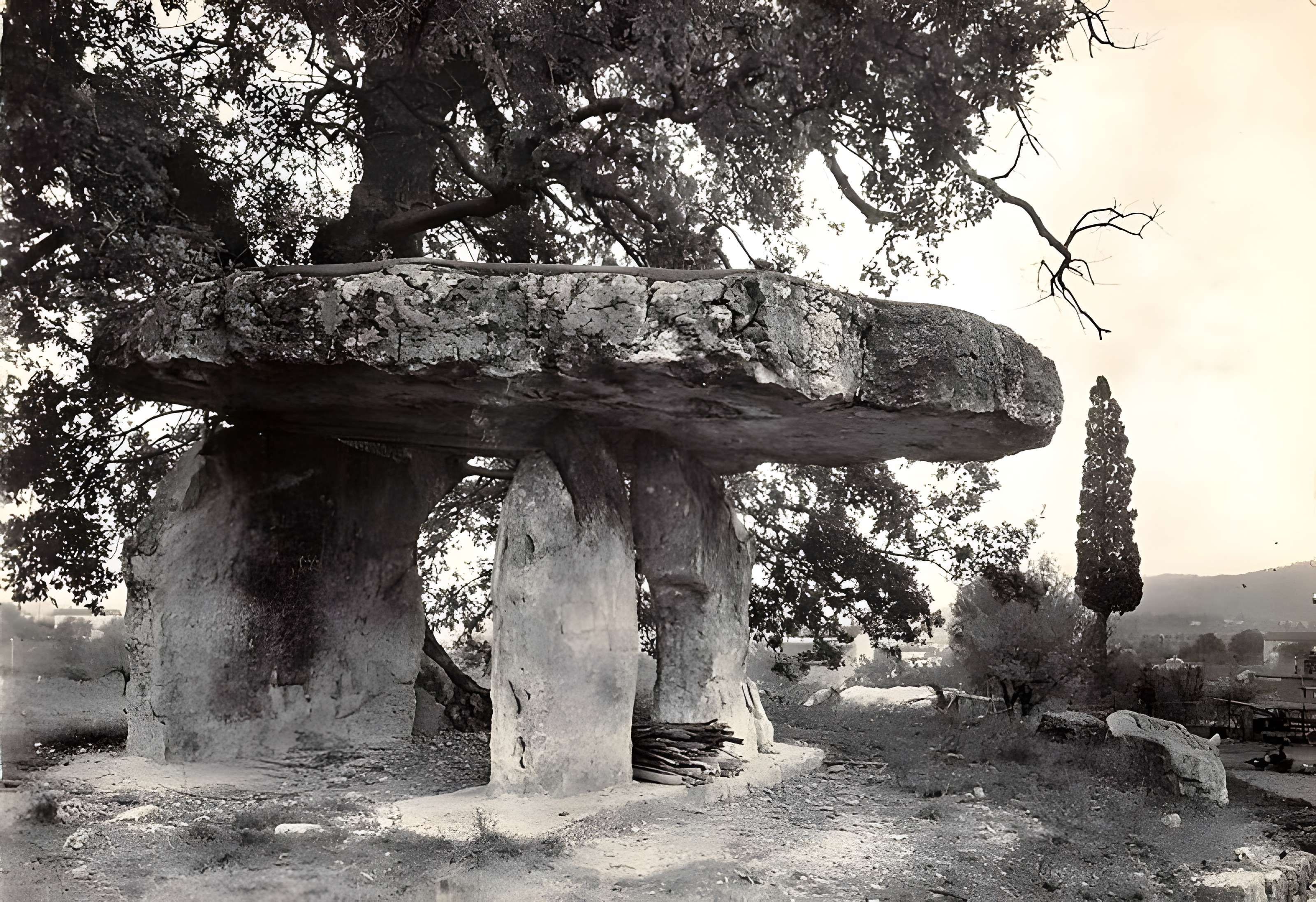 Pierre de la Fée de Draguignan