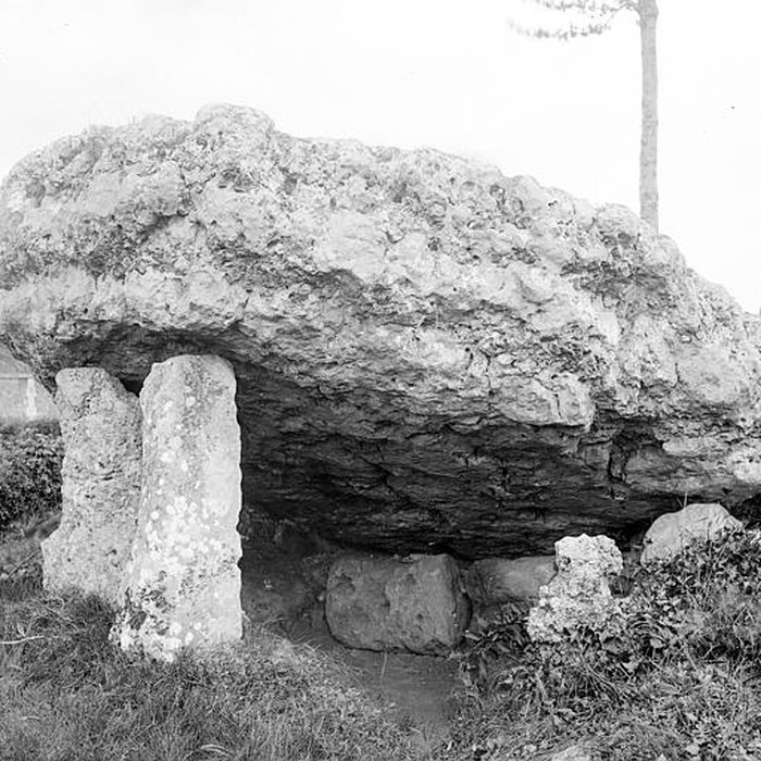 Photo de Pierre levée de Poitiers