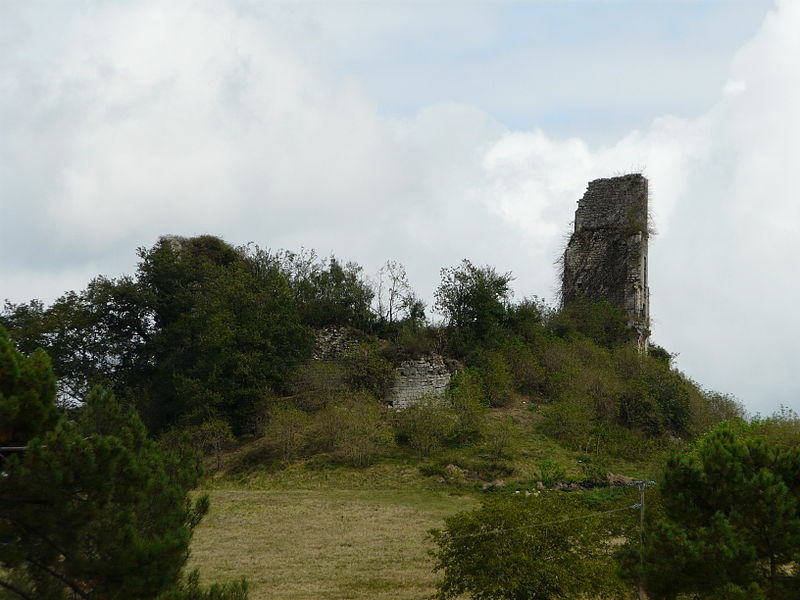 Photo de Château de Gurson