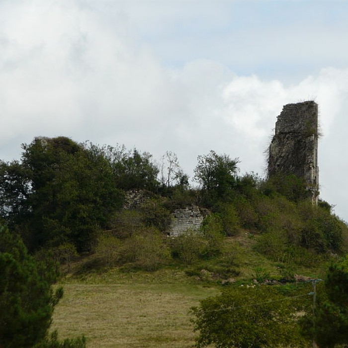 Photo de Ruines du château de Gurcon