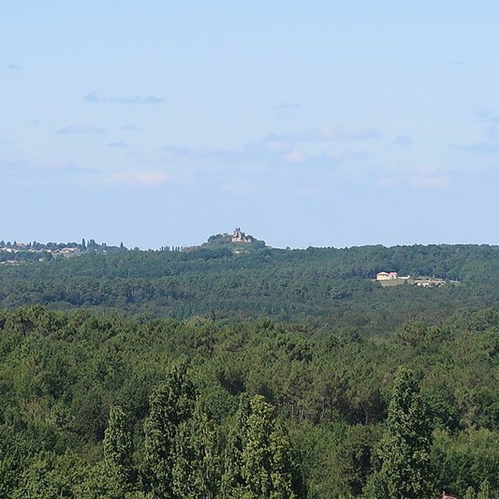 Photo de Ruines du château de Gurcon