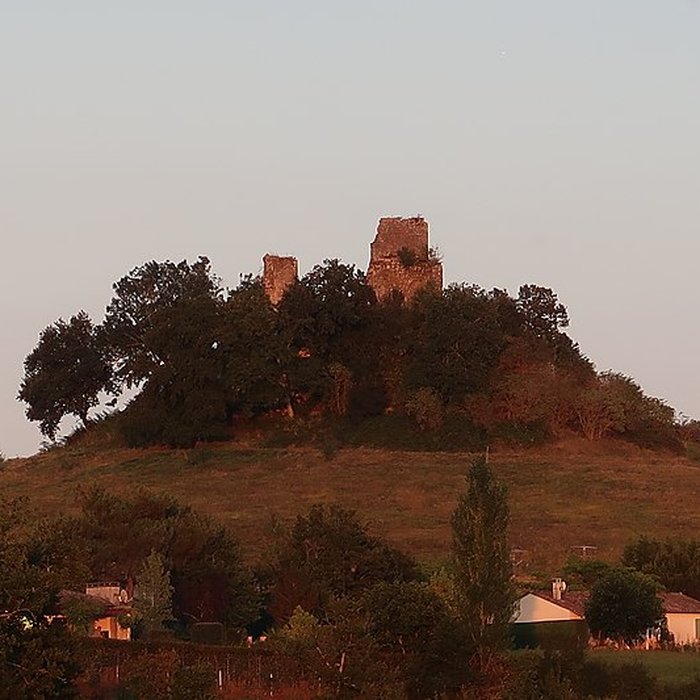 Photo de Ruines du château de Gurcon