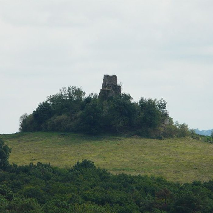 Photo de Ruines du château de Gurcon